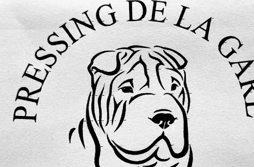Pressing de la Gare