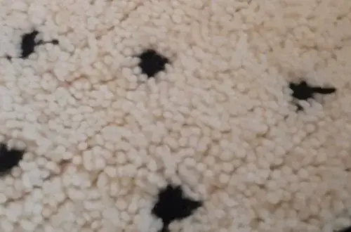 Mabella pressing